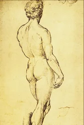 Studie van een naakt